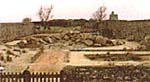 Tatihou - Jardin botanique