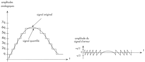 Graphique 5